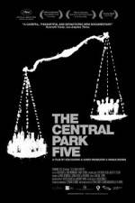 Watch The Central Park Five Movie4k