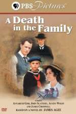 Watch A Death in the Family Movie4k