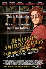 Watch Benjamin Sniddlegrass and the Cauldron of Penguins Online Movie4k
