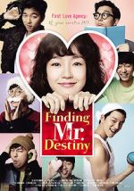 Watch Finding Mr. Destiny Movie4k