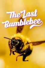 Watch The Last Bumblebee Movie4k