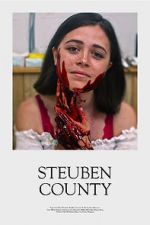 Watch Steuben County Movie4k