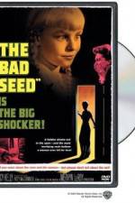 Watch The Bad Seed Movie4k