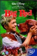 Watch Big Red Movie4k