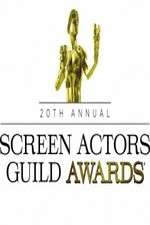 Watch The 20th Annual Screen Actors Guild Awards Movie4k