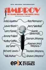 Watch The Improv: 50 Years Behind the Brick Wall (TV Special 2013) Movie4k