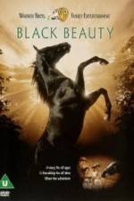 Watch Black Beauty Movie4k