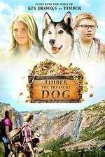 Watch Timber the Treasure Dog Movie4k