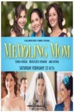 Watch Meddling Mom Movie4k