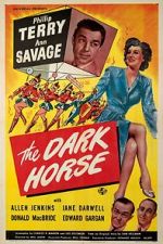 Watch The Dark Horse Movie4k