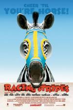 Watch Racing Stripes Movie4k