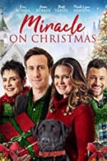 Watch Miracle on Christmas Movie4k