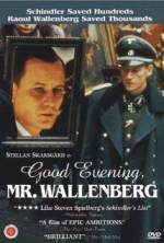 Watch Good Evening, Mr. Wallenberg Movie4k