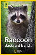 Watch Raccoon: Backyard Bandit Movie4k