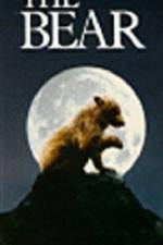 Watch The Bear - (L'ours) Movie4k