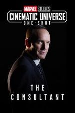 Watch Marvel One-Shot: The Consultant Movie4k