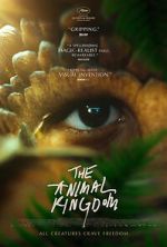 Watch The Animal Kingdom Movie4k