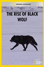 Watch The Rise of Black Wolf Movie4k