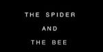 Watch The Spider and the Bee Movie4k