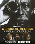 A Choice of Weapons: Inspired by Gordon Parks movie4k