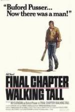 Watch Final Chapter Walking Tall Movie4k