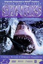 Watch Search for the Great Sharks Movie4k