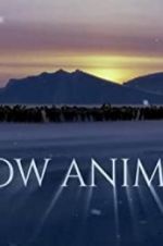 Watch Snow Animals Movie4k