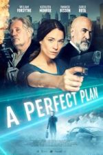 Watch A Perfect Plan Movie4k