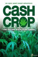 Watch Cash Crop Movie4k