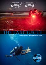 Watch The Last Turtle (Short 2019) Movie4k