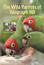 Watch The Wild Parrots of Telegraph Hill Movie4k