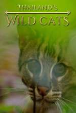 Watch Thailand's Wild Cats Movie4k