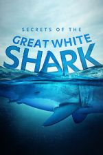 Watch Secrets of the Great White Shark Movie4k