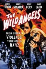 Watch The Wild Angels Movie4k