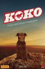 Watch Koko: A Red Dog Story Movie4k