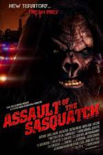 Watch Sasquatch Assault Movie4k