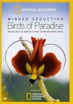 Watch Winged Seduction: Birds of Paradise Movie4k