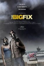 Watch The Big Fix Movie4k