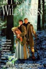 Watch Miracle in the Wilderness Movie4k