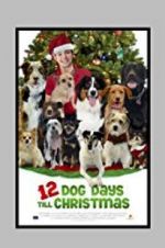 Watch 12 Dog Days Till Christmas Movie4k