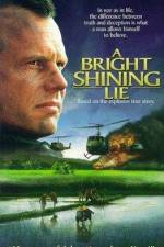 Watch A Bright Shining Lie Movie4k