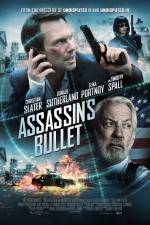 Watch Assassin's Bullet Movie4k