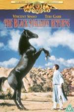 Watch The Black Stallion Returns Movie4k