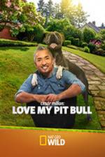Watch Cesar Millan: Love My Pit Bull Movie4k