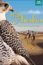 Watch Wild Arabia Movie4k