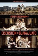 Watch Eisenstein in Guanajuato Movie4k