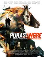 Watch Purasangre Movie4k