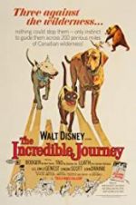 Watch The Incredible Journey Movie4k