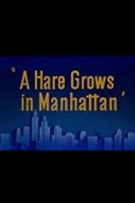 Watch A Hare Grows in Manhattan Movie4k