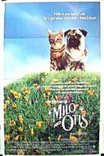 Watch Milo & Otis Movie4k